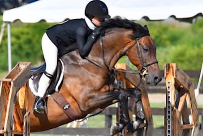 Fox Creek's Antony Quinn