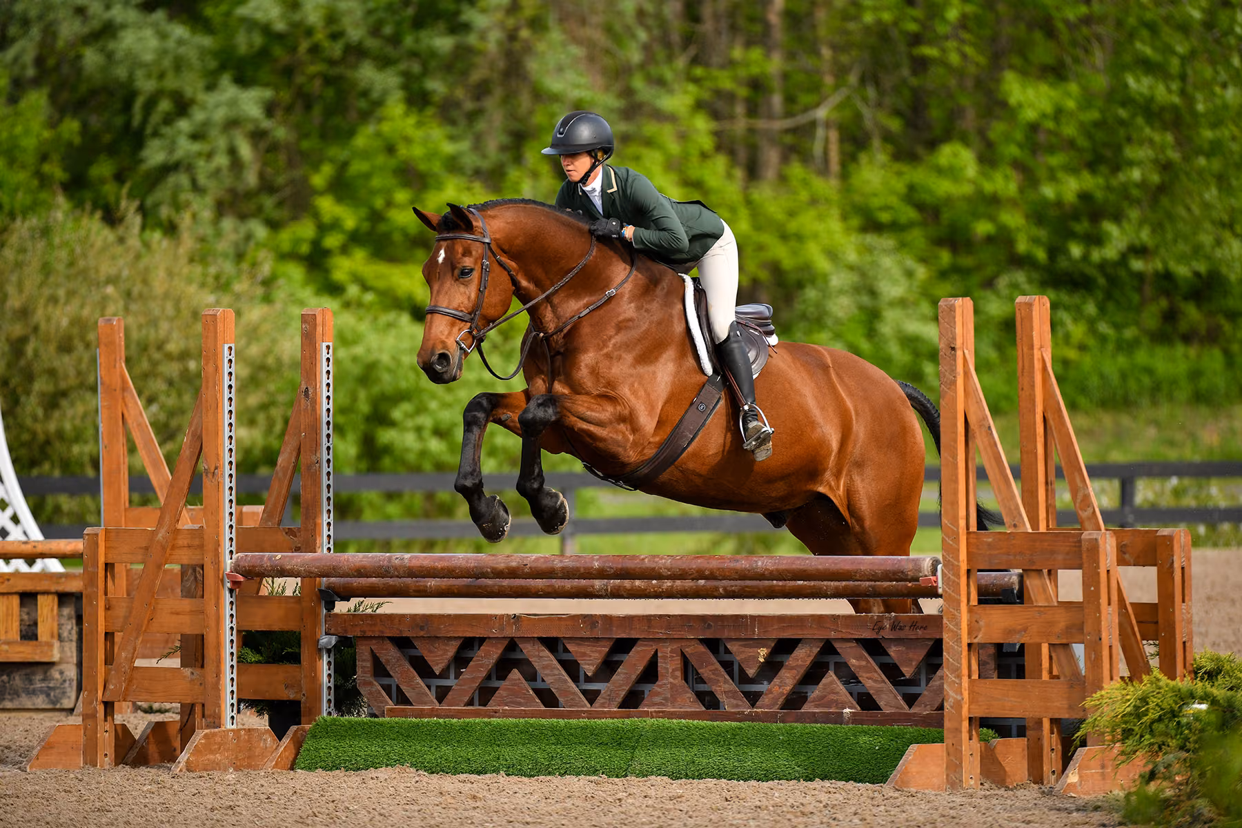 A hunter and rider over a natural fence