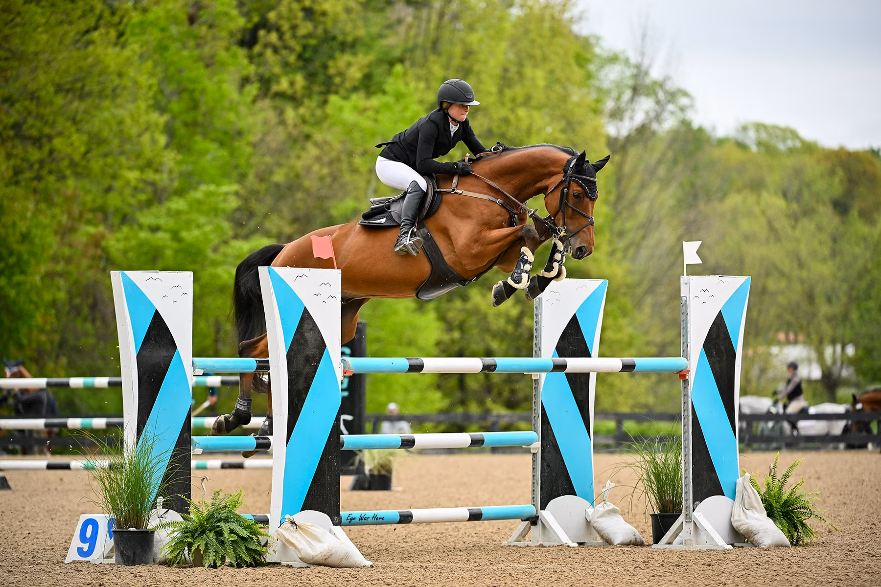 A horse and rider over a brightly colored jumper fence