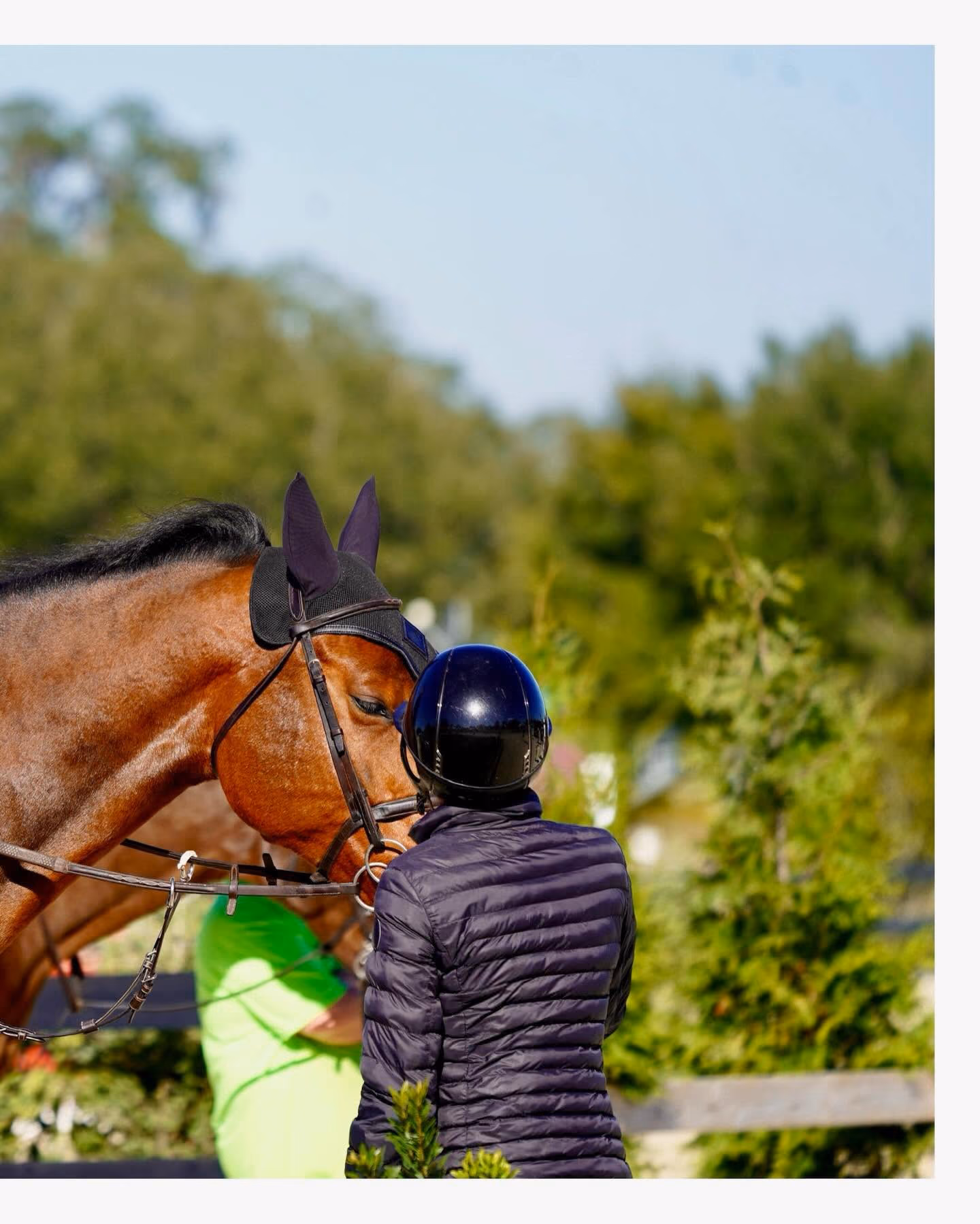 A rider greeting a bay horse at HITS Ocala