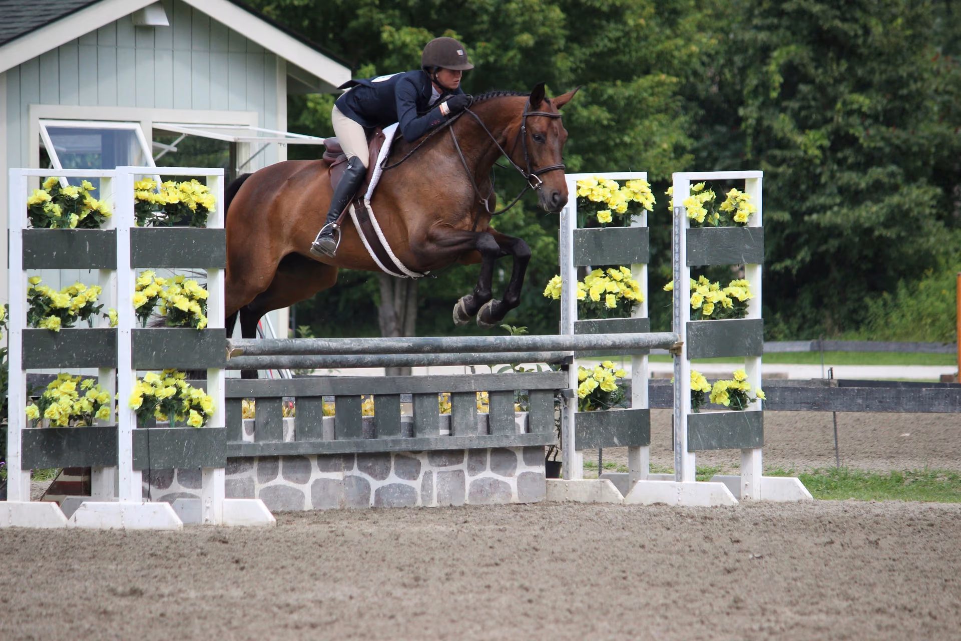 A horse and rider over a green hunter fence