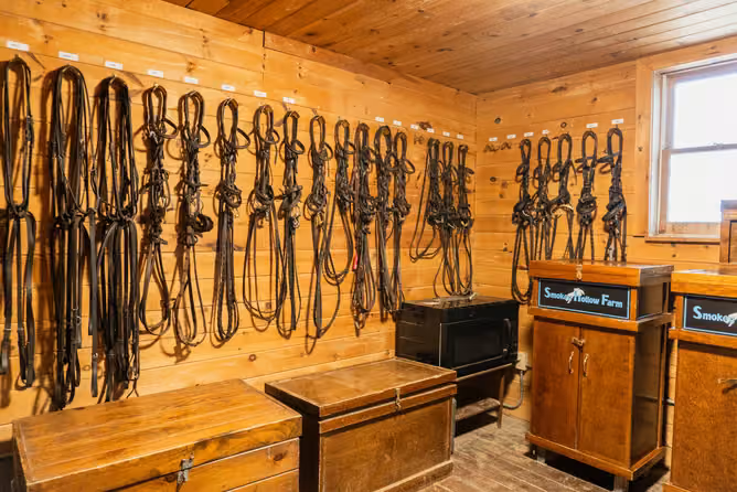 Saddles and equipment in the secure tack room